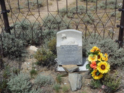 GDMBR: All of the old plots with headstones have old time wrought iron fencing.